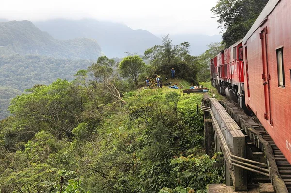 Tren de la selva, Brasil — Foto de Stock