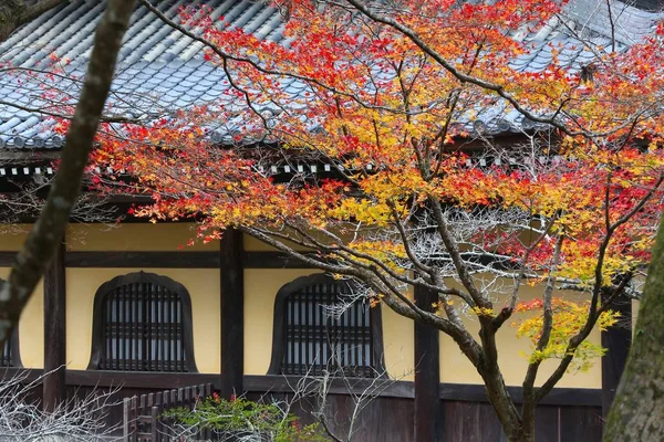 Kyoto podzim - Japonsko mezník — Stock fotografie