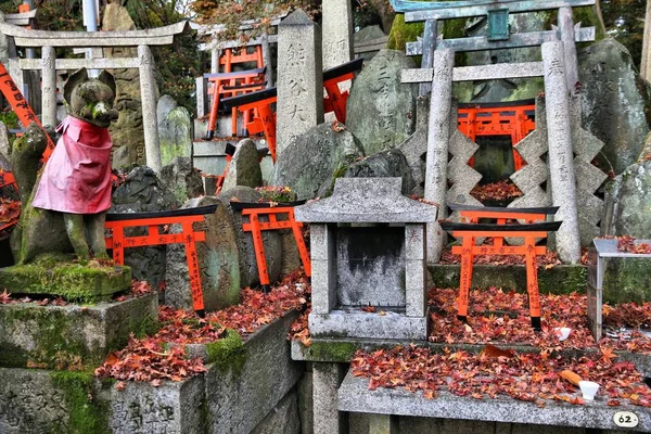Small torii gates — Stock Photo, Image