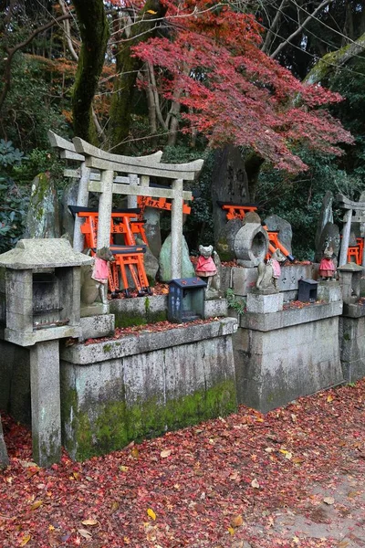 Japan autumn in Kyoto — Stock Photo, Image