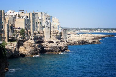 Polignano kısrak