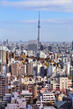 Bunkyo, Tokyo, Japonya