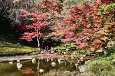Tokyo sonbahar, Japonya