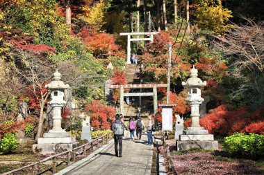 Japonya turizm - Kamakura