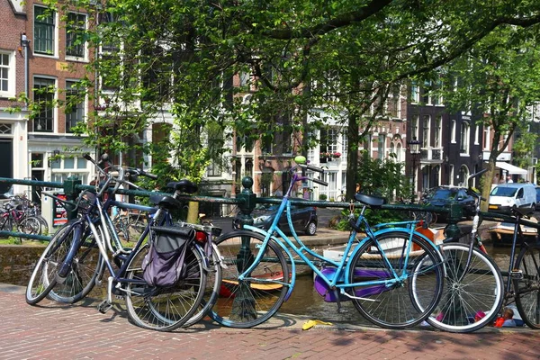 Amsterdam Bisikletler, Hollanda