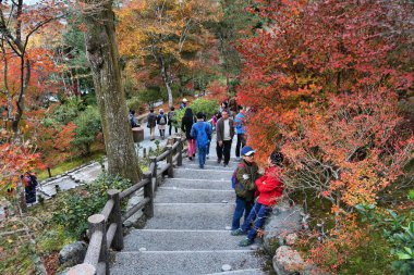 Kyoto sonbahar yaprakları