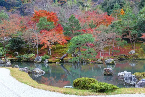 Japanse tuin herfst — Stockfoto