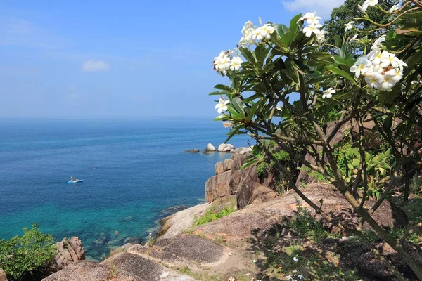 Ko tao, Tayland — Stok fotoğraf