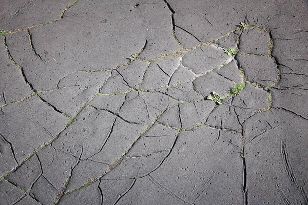 Cracked road surface — Stock Photo, Image