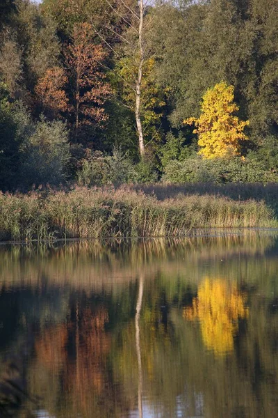 Autumn in Katowice — Stock Photo, Image