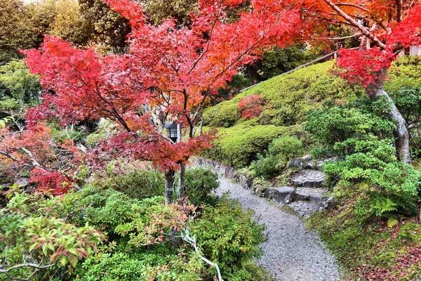 Liście jesienią w Japonii — Zdjęcie stockowe