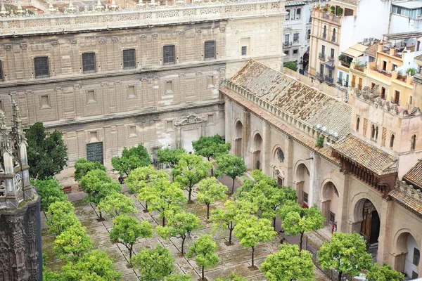 Sevilla Katedrali avlu — Stok fotoğraf