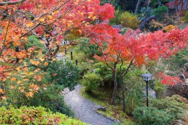 Nara sonbahar, Japonya