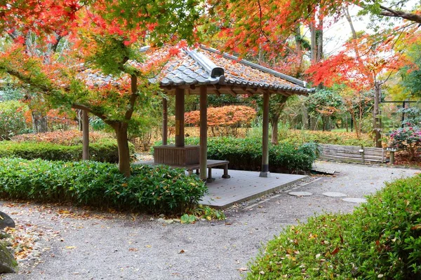 Сад Нара, Япония — стоковое фото