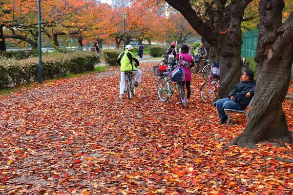 Осень Осаки, Япония — стоковое фото