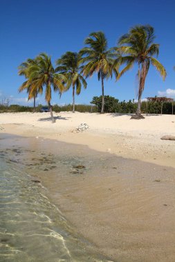 Playa vızıldamak, Küba