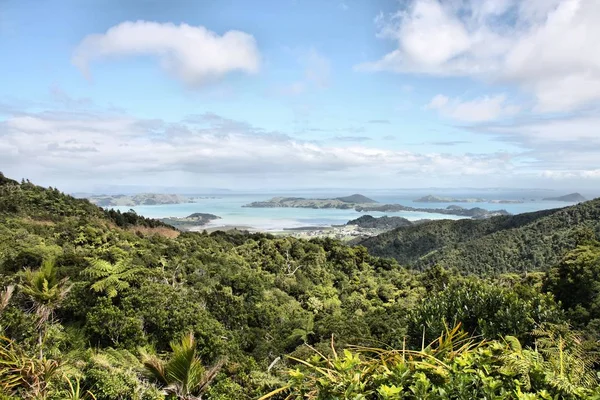 Nieuw-Zeeland landschap — Stockfoto