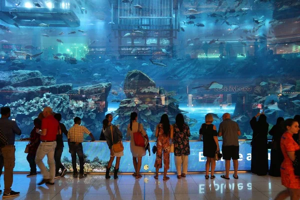 Dubai Aquarium, Forenede Arabiske Emirater - Stock-foto