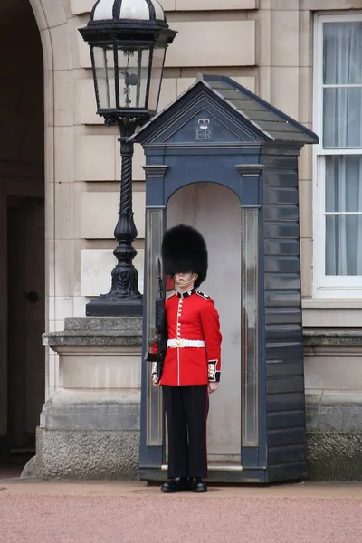 Queen's Guard, Buckingham Palace — Stock Photo, Image
