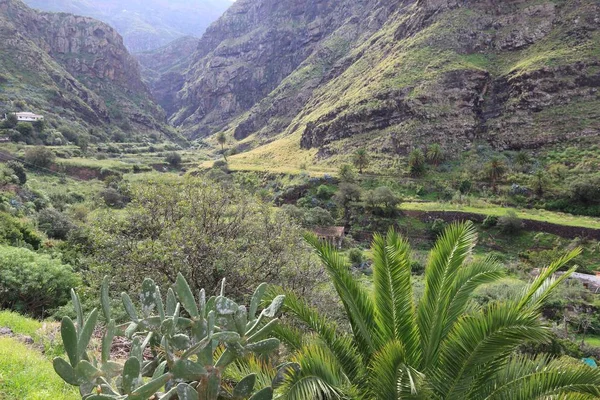 Gran canaria landschap — Stockfoto