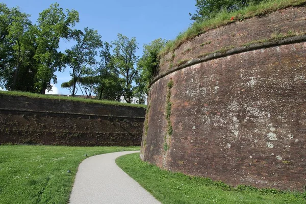 Lucca ortaçağ duvarları — Stok fotoğraf