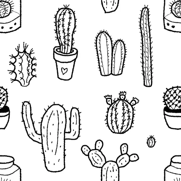 Fondo suculento de cactus — Archivo Imágenes Vectoriales