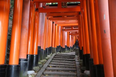 Fushimi Inari, Japonya