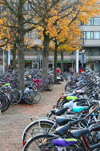 オランダ自転車駐車場 — ストック写真