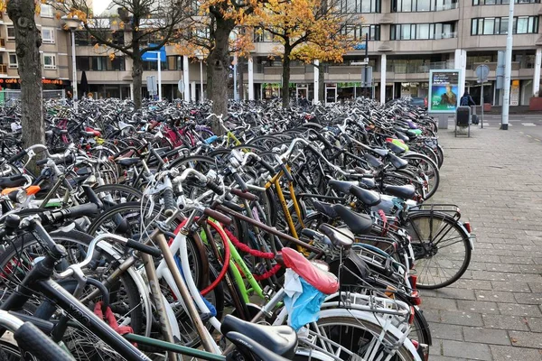 Fahrradabstellplätze, Niederlande — Stockfoto