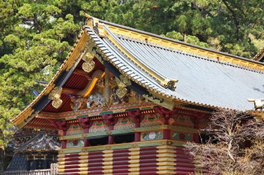 Toshogu, Nikko, Japonya