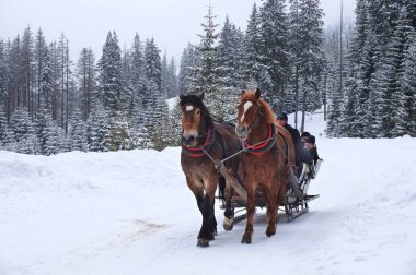 Morskie Oko ata biniyor.