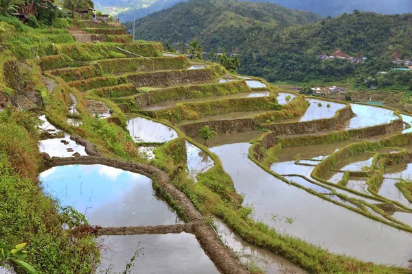 Philippinen Reisterrassen — Stockfoto