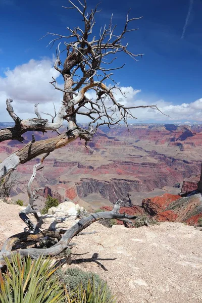 Vista panorâmica do Grand Canyon — Fotografia de Stock