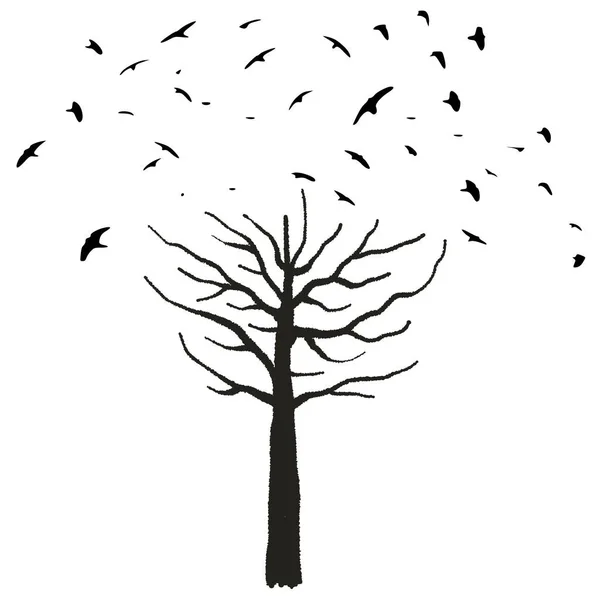 Árbol y aves — Archivo Imágenes Vectoriales