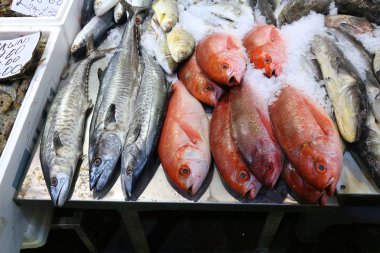 Billingsgate Balık pazarı