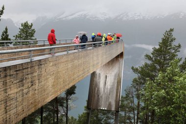 Fiord overlook Norveç'te