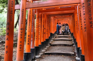 Japonya tori kapıları