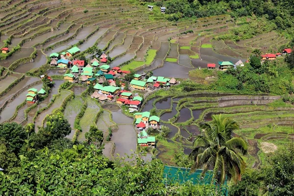 Batad rice fields — Stock Photo, Image