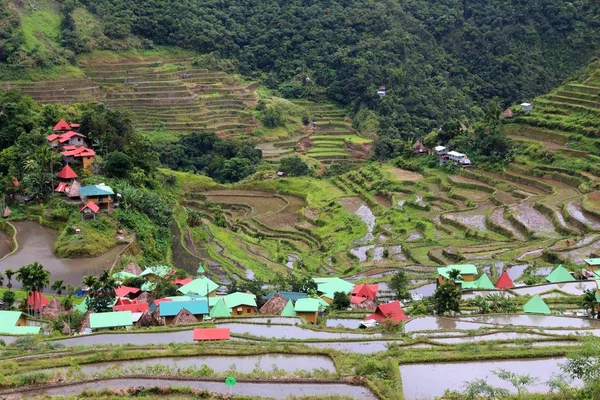 Philippines rice terraces — Stock Photo, Image