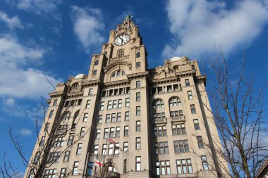 Royal karaciğer bina