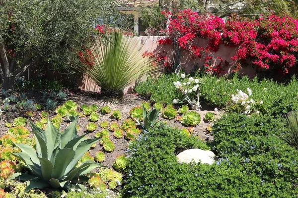 Garden in Malibu — Stock Photo, Image