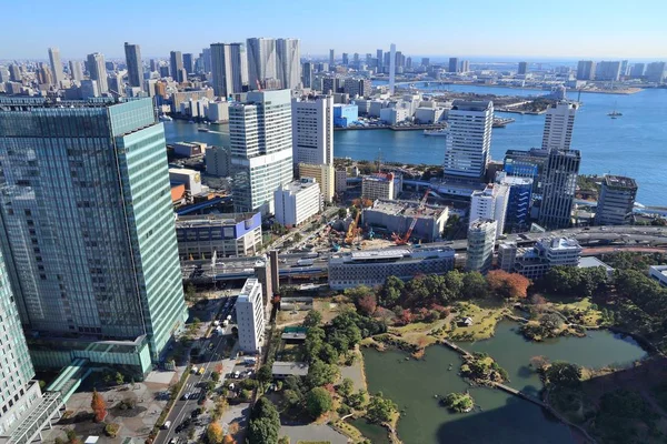Tokyo havadan görünümü — Stok fotoğraf