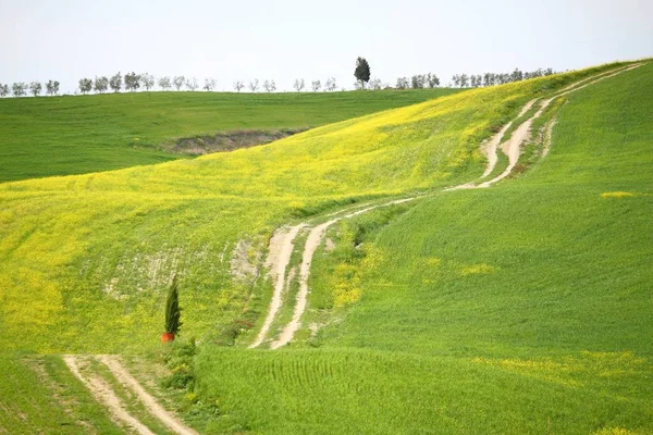 Val D'Orcia, Tuscany — Zdjęcie stockowe