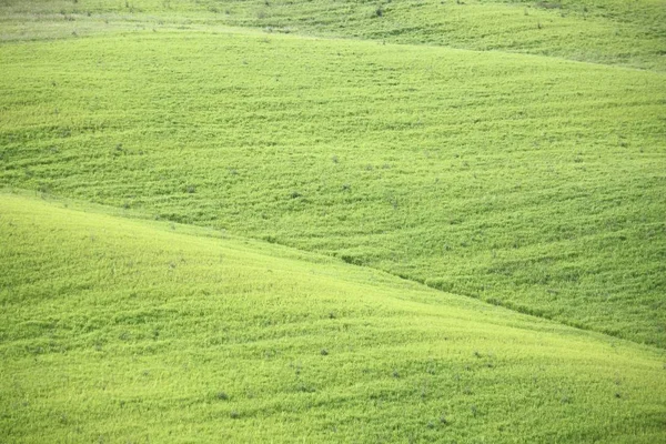 Pastagens verdes da Toscana — Fotografia de Stock