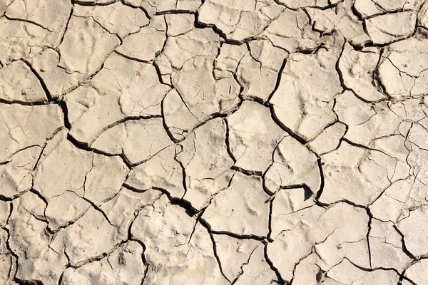乾燥泥のパターン — ストック写真