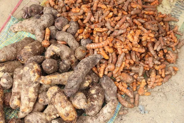 Philippine vegetables — Stock Photo, Image