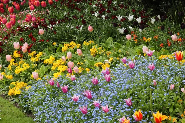 Printemps à Londres — Photo