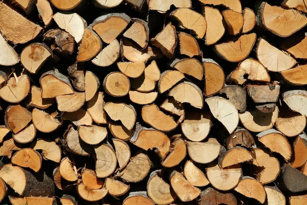 Fire wood background — Stock Photo, Image