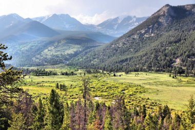 Colorado Rocky Dağları