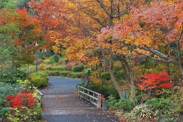 Tokyo Midtown autumn park — Stock Photo, Image